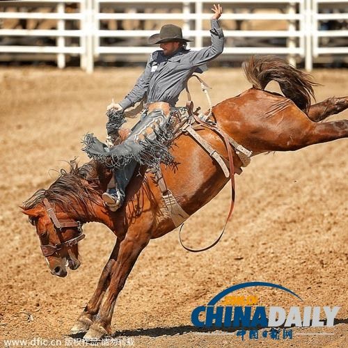 Karsa赛事官方发布败北新规,加拿大队争议不断!的简单介绍 Karsa赛事官方发布败北新规,加拿大队争议不断!的简单介绍